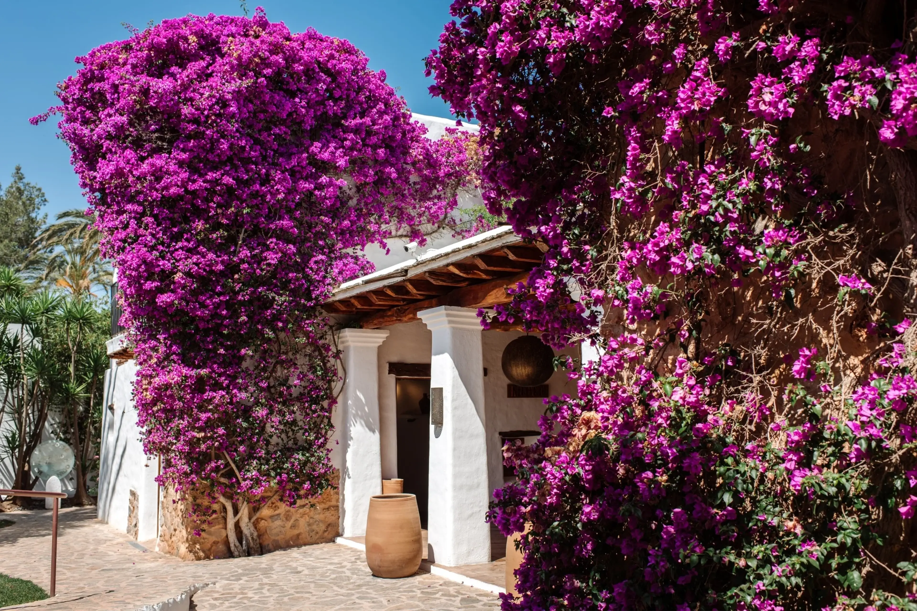 Atzaro Agroturismo Hotel Luxury