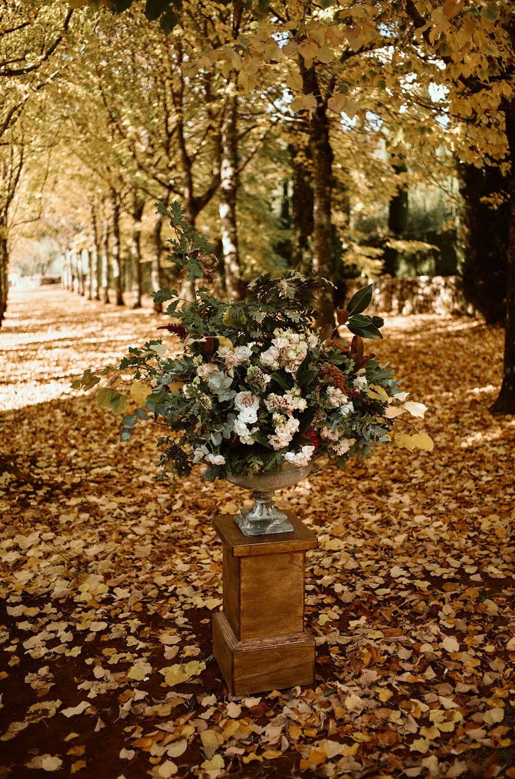 Wedding Ceremony - Autumn Wedding Ceremony at Villa Cetinale, Siena, Tuscany