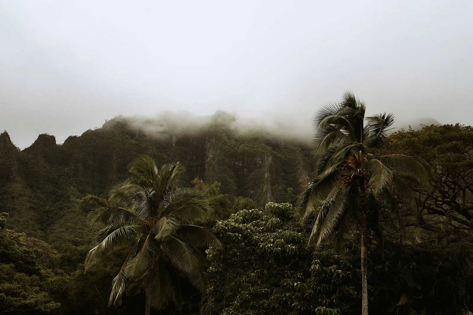 Ceremony-Wedding at Kualoa Ranch in Honolulu, Hawaii