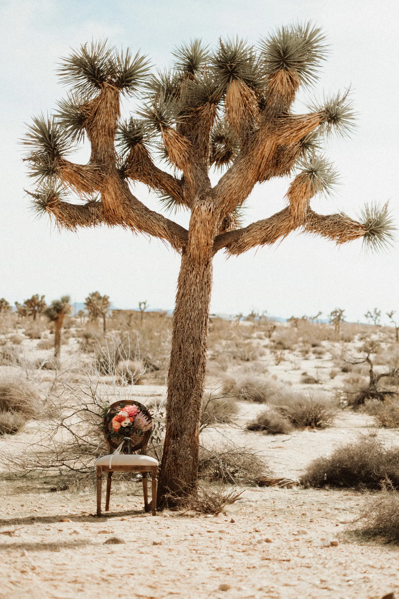 Getting ready - Joshua Tree Elopement Getting Ready