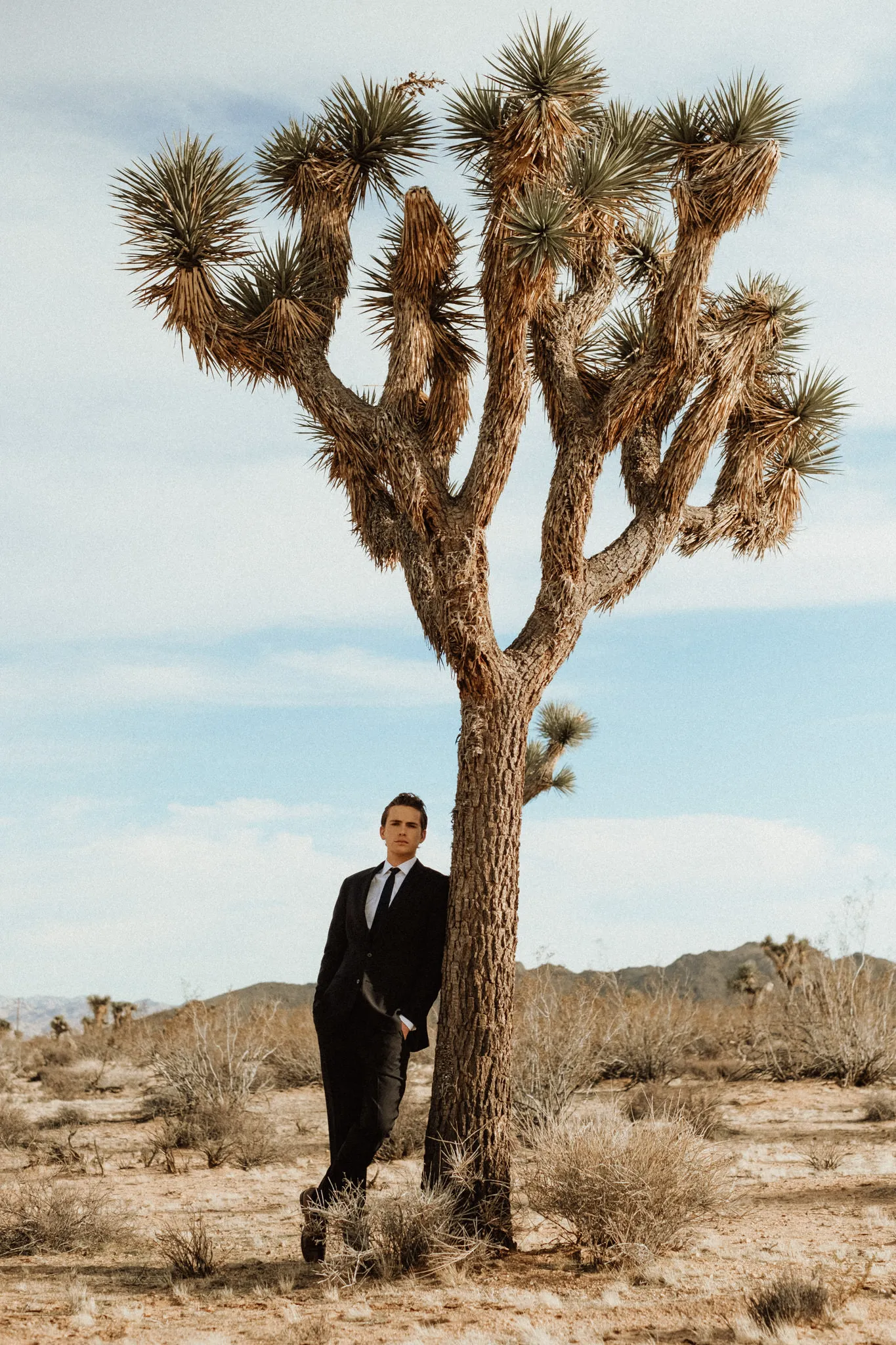 Portraits - Wedding Portraits in Joshua Tree