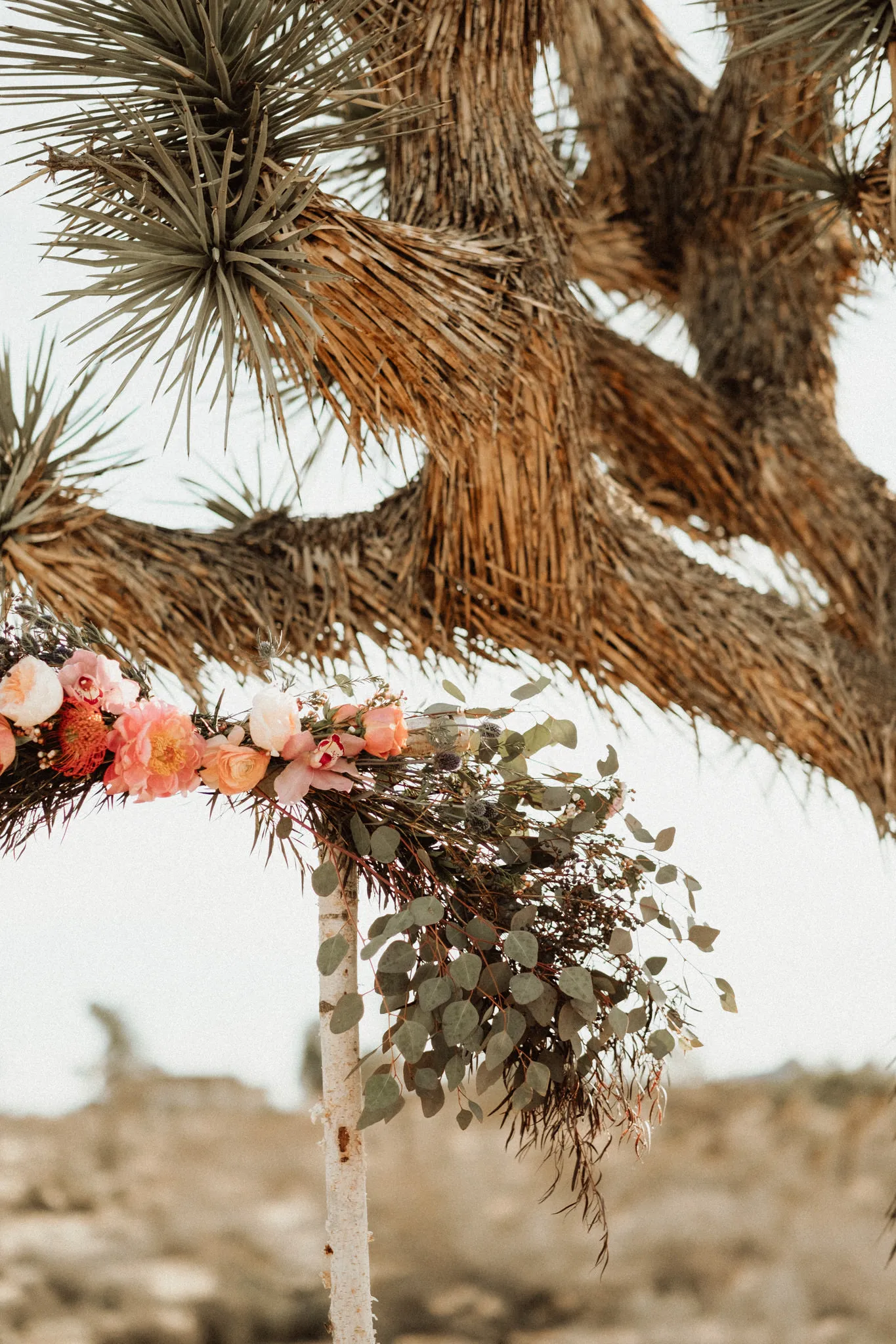 Ceremony - Joshua Tree Elopement Ceremony