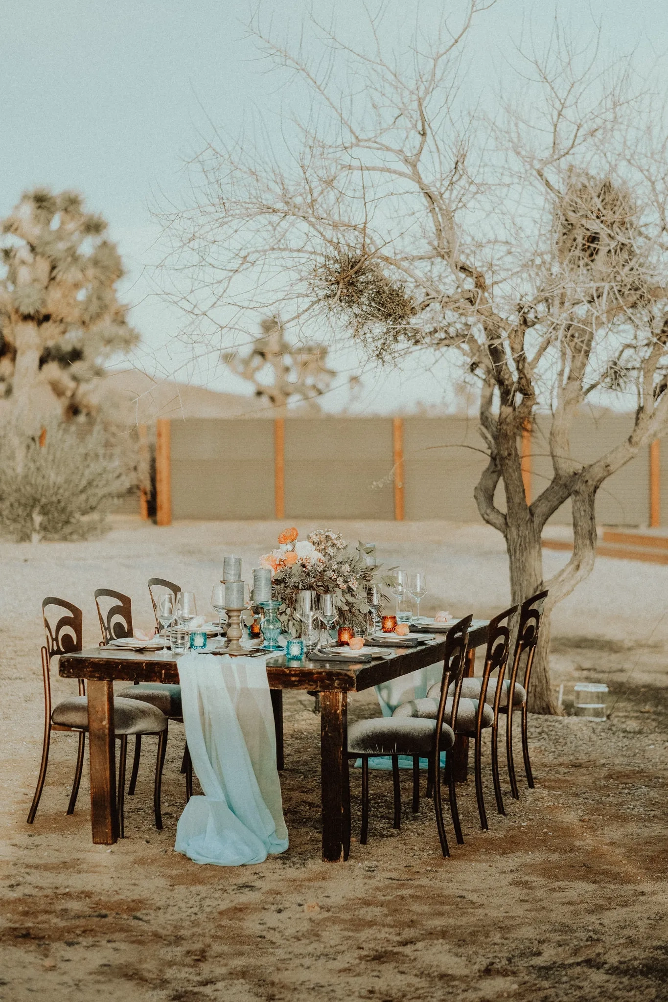 Reception - Joshua Tree Elopement Reception